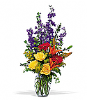Colorful Sensation