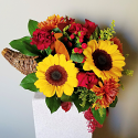 Forth's Cornucopia