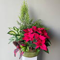 Forth's Northwoods Christmas