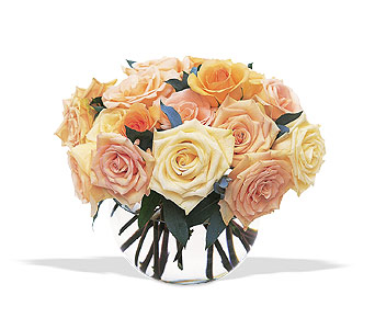 Perfect Pastel Roses