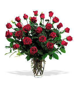 Two Dozen Red Roses