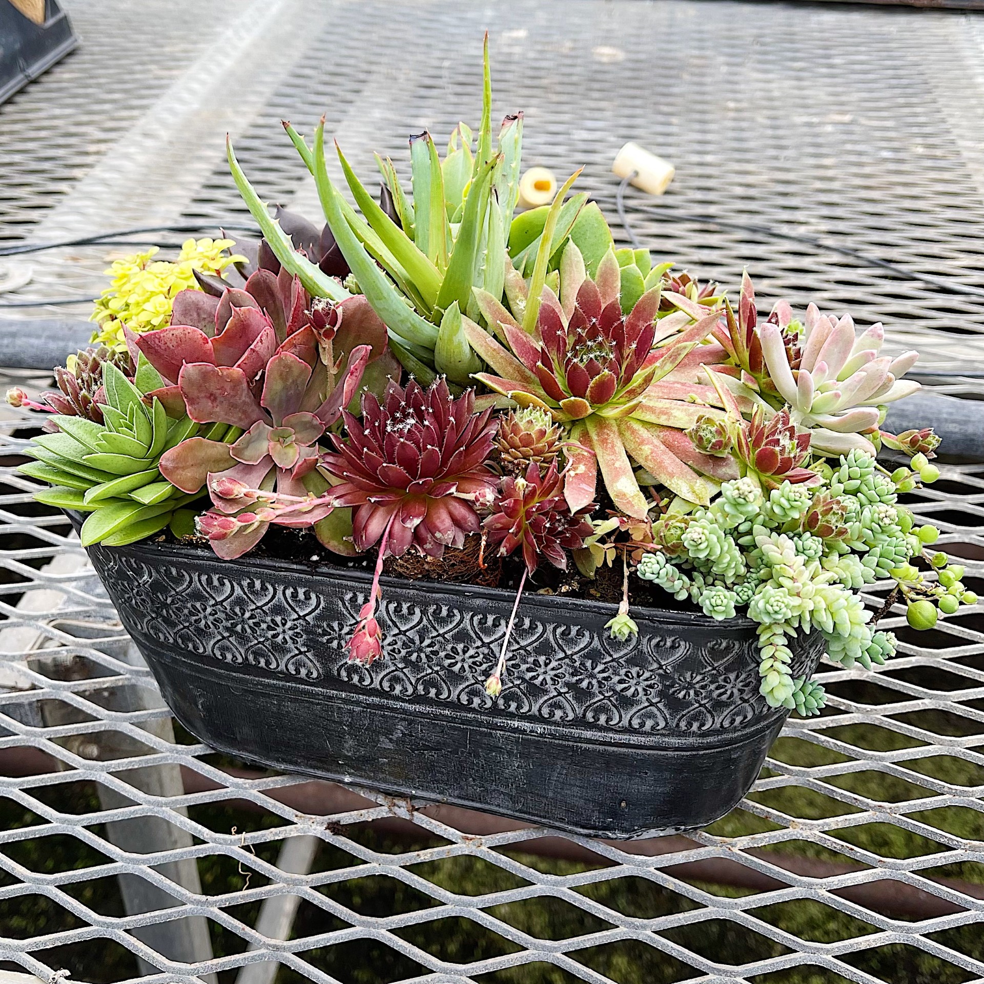 Vintage Metal Succulent Planter