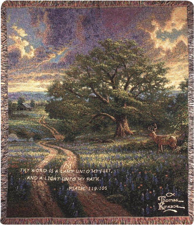 Thomas kinkade memorial throws online
