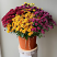 10" multicolor mum in burlap covered metal container