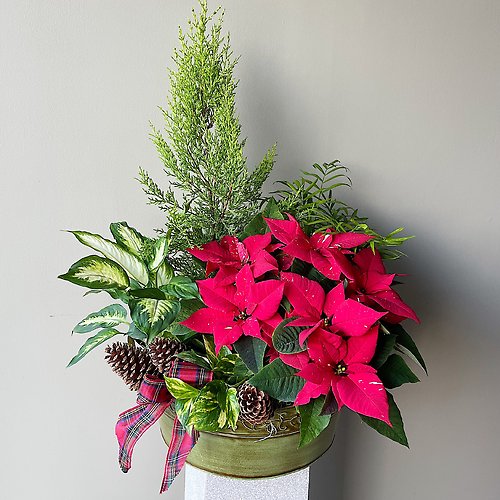 Forth\'s Northwoods Christmas