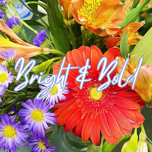 Bright and Bold Designer\'s Choice