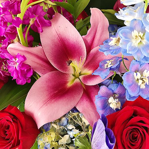 Just Make Something Pretty! Designer\'s Choice - 