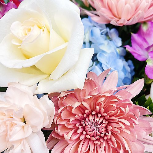 Vintage Designer\'s Choice 