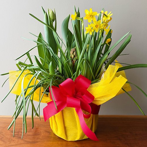 Forth\'s Bulb Garden