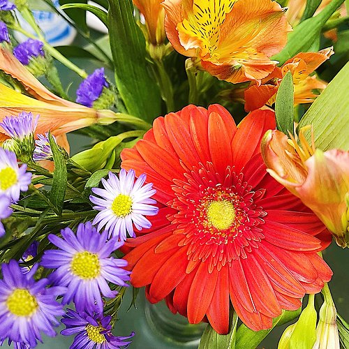 Garden Style Designer\'s Choice