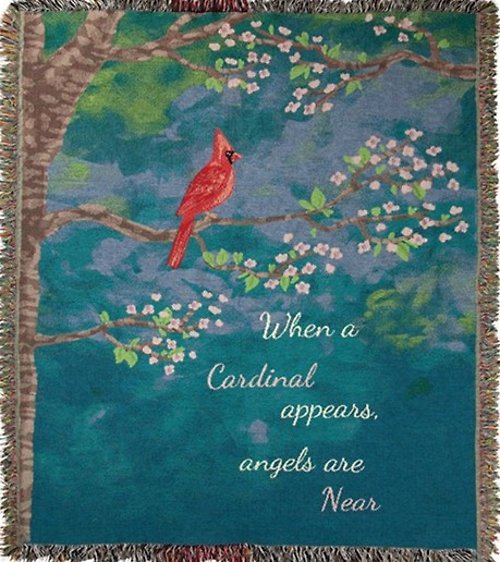 When a Cardinal Appears - Light