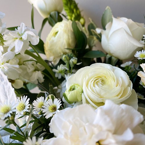 Sympathy Designer\'s Choice 