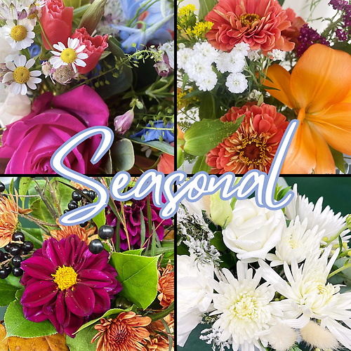 Seasonal Designer\'s Choice